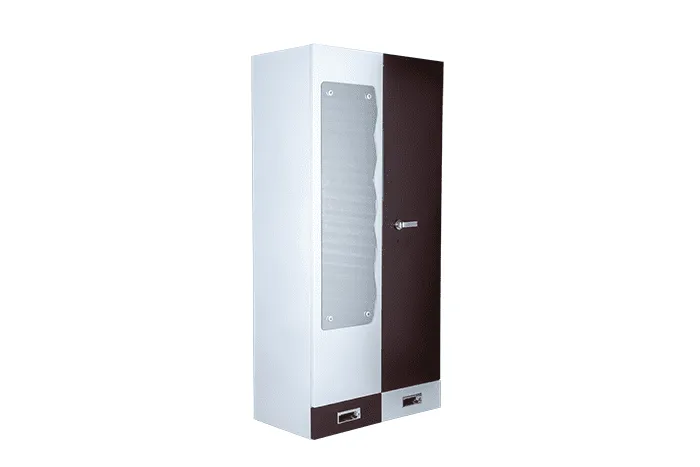 VIVDeal Double Door Mirror Cupboard